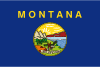 Montana Flag