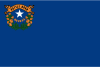 Nevada Flag